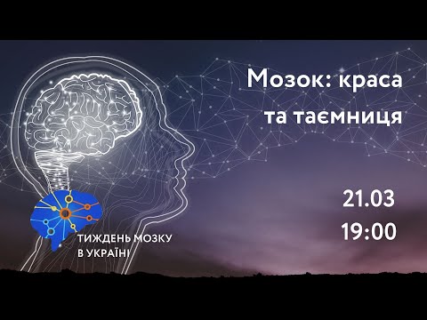 Видео: Мозок: краса та таємниця