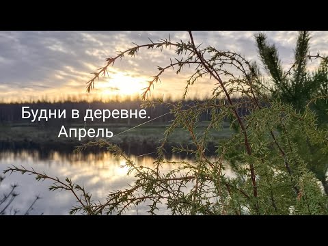 Видео: Уборка на гектаре//Защита от клещей//Первая кладка