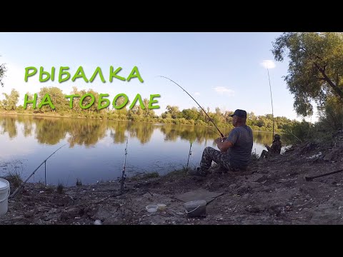 Видео: Рыбачим на реке Тобол - Ловим подлещика и карася на донку