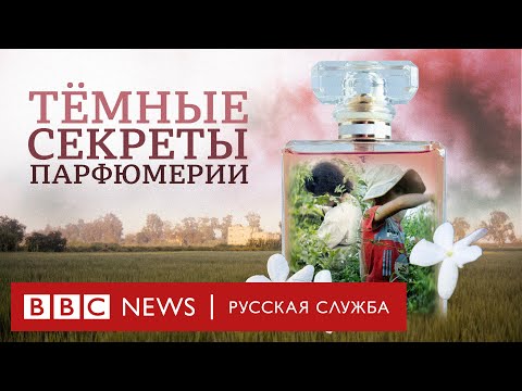Видео: Детские слезы во флаконе: темные секреты элитной парфюмерии | Документальный фильм Би-би-си