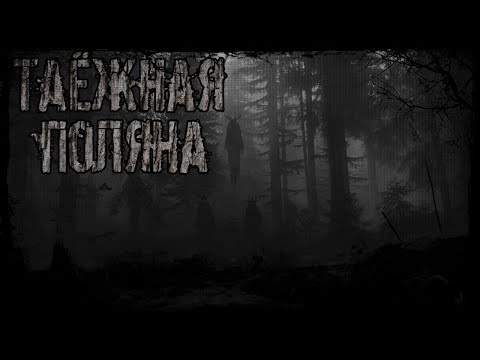 Видео: ТАЁЖНАЯ ПОЛЯНА... *Автор: Демид Б*