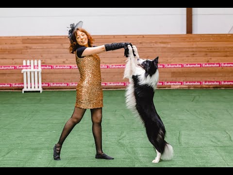 Видео: Саляева Наталья и бордер колли Ingardia Riverdance. Мастер Фристайл. Dogdance border collie