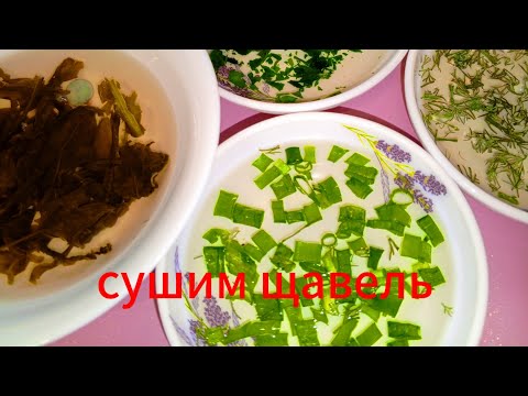 Видео: СУШИМ ЗЕЛЕНЬ , А НЕ СЕНО 👌