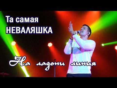 Видео: Стас Пьеха - На ладони линия (Владивосток, 01.10.22)
