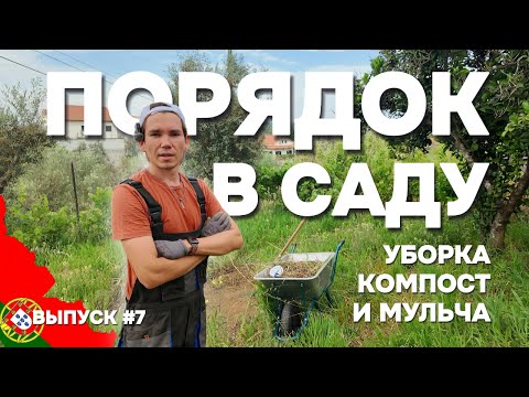 Видео: Компост, мульча и уборка скошенной травы на участке в Португалии. Выпуск 7
