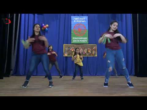 Видео: Честване на международния ден на ромите в с. Карапелит