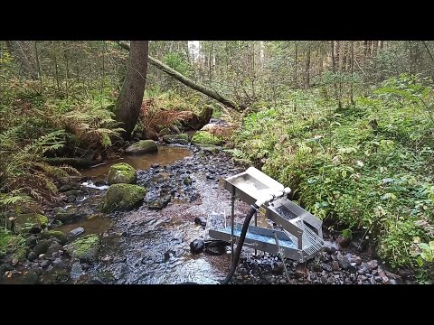 Видео: Добыча золота из ручья мини драгой