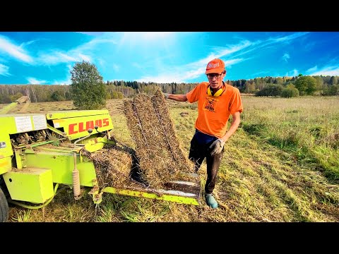 Видео: Тюкую и продаю сено, чтобы купить новый трактор!