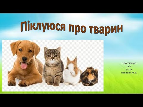 Видео: Догляд за домашніми улюбленцями. Піклуюся про домашніх улюбленців.