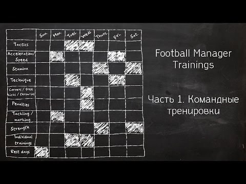 Видео: О тренировках. Выпуск 01: Командные тренировки