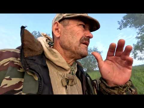 Видео: Енисей с Витьком рыбачили.Рыба клюет.