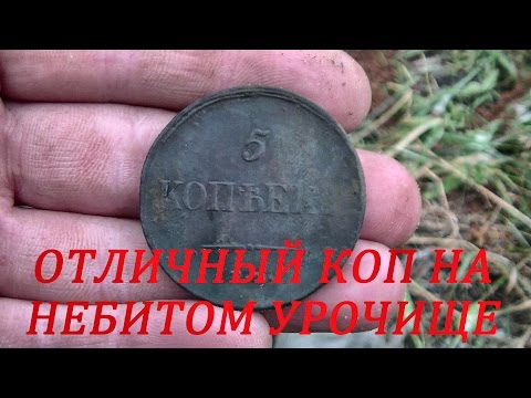 Видео: Отличный коп на небитом урочище #92