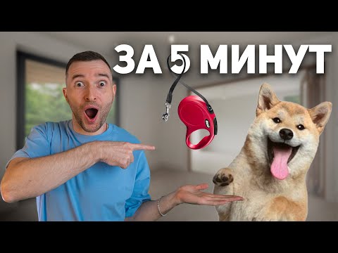 Видео: Научил Щенка Команде "Дай Лапу"  за 5 минут / Тест \ 12 команд за 8 дней