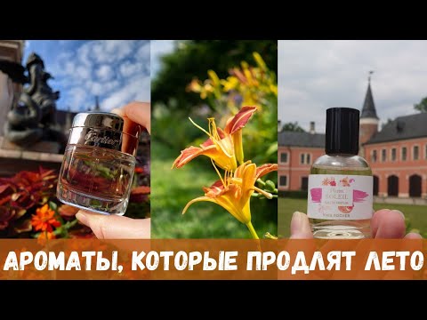 Видео: Ароматы, которые продлят лето. 🌄