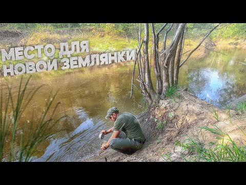 Видео: МЕСТО ДЛЯ НОВОЙ ЗЕМЛЯНКИ | СТРАННАЯ НАХОДКА В ГЛУШИ ЛЕСА | СТРАШНЫЕ ЗВУКИ | НОЧУЮ ОДИН НА ЛИСТЬЯХ