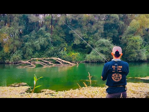 Видео: Ця РІЧКА РАЙ Для Рибалки - Осінній ЖОР Ось Він