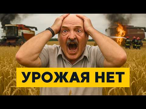 Видео: Беларусь ПРОИГРЫВАЕТ Литве! Уборка урожая превратилась в БАРДАК! Комбайны массово ГОРЯТ!