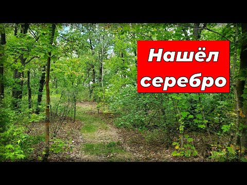 Видео: Нашёл много монет и даже серебро с помощью металлоискателя Skycruiser S63