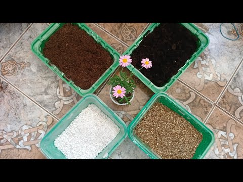 Видео: Үй гүлі мен рассада өсіретін құнарлы  топырақтар. Түсініктеме. Үй гүлдеріне арналған тыңайтқыш