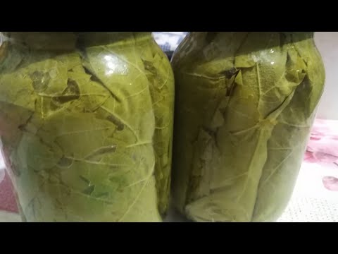 Видео: ВИНОГРАДНЫЕ ЛИСТЬЯ ДЛЯ ДОЛМЫ НА ЗИМУ