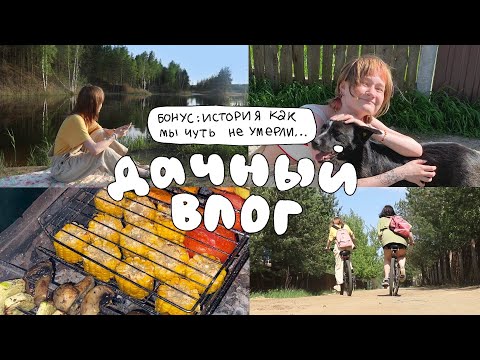 Видео: уехали на дачу и стали трушными дачниками всем пока 🌱 влог