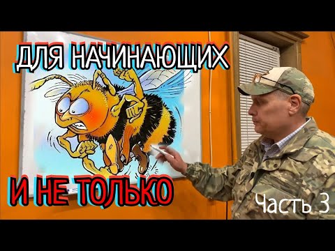 Видео: ДЛЯ ТЕХ КТО ХОЧЕТ ИМЕТЬ ПЧЕЛ уроки для начинающих
