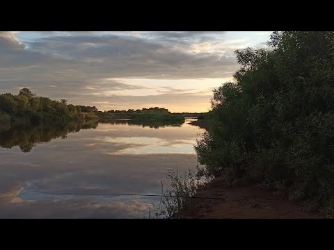 Видео: ДВА ДНЯ на реке ЧЕПЦА\РЫБАЛКА с СЫНОМ\Отлично отдохнули!