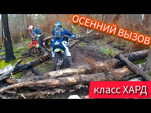 Видео: ВАЛИМ по СКОЛЬЗКИМ БРЁВНАМ в ТАМБОВЕ. Осенний вызов класс спорт.