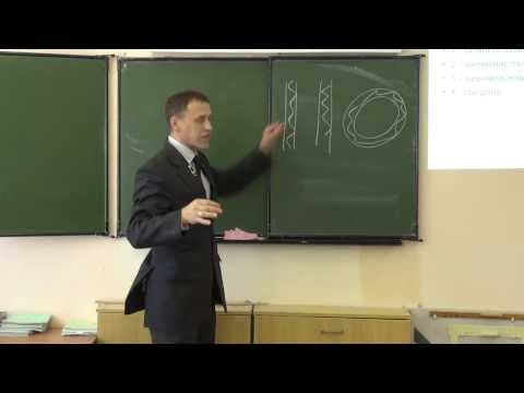 Видео: Фахреев В.А. - уроки трезвости - 2 урок
