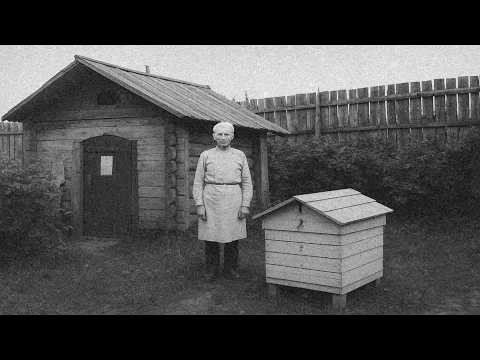 Видео: ЧЕЛОВЕКА ВОЗРАСТОМ 291 год нашли Исследователи в Глухом Лесу