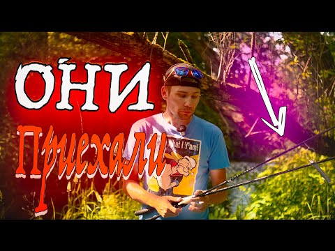 Видео: ОБЗОР НОВЫХ СПИННИНГОВ! ЛЕТО 2024! ИДЕАЛЬНЫЙ TRAVEL СПИННИНГ ДЛЯ ПУТЕШЕСТВИЙ! + АНОНС КОНКУРСА!