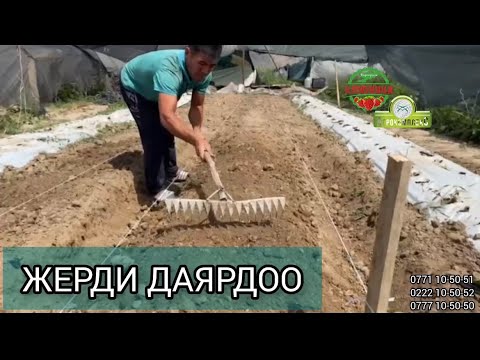 Видео: Кулпунайга жерди кантип даярдайбыз?