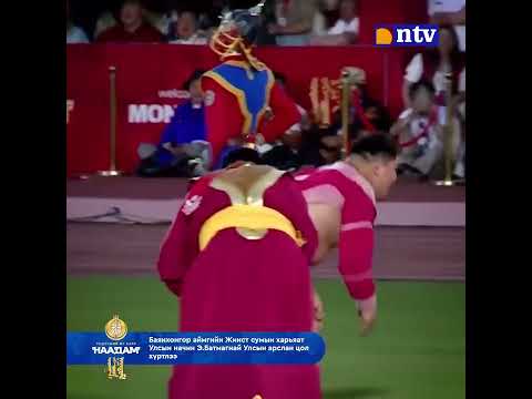 Видео: Баянхонгор аймгийн Жинст сумын харьяат Монгол улсын арслан. Энхтүвшингийн Батмагнай 