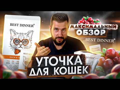 Видео: Обзор на корм BEST DINNER для кошек | Сухой корм BEST DINNER утка с клюквой