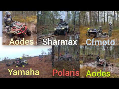Видео: Какой квадроцикл лучше едет по болоту? 