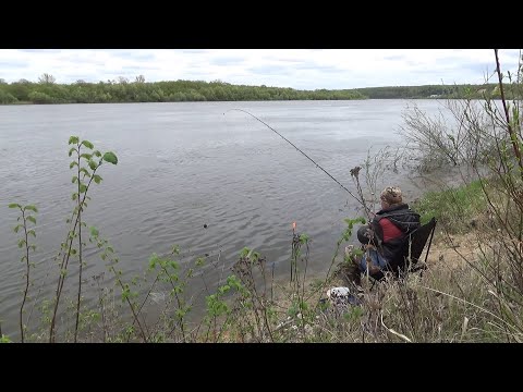 Видео: ПЕРВАЯ Рыбалка на Оке на Фидер и Поплавок! Что Ловится? Что БЕРЕТ.