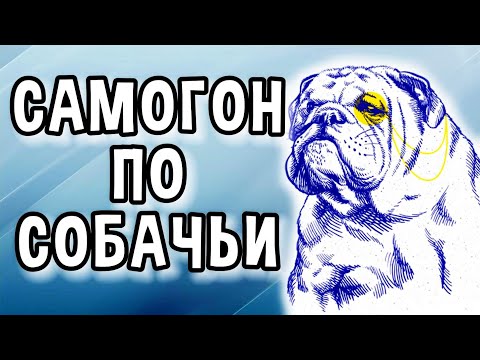 Видео: РЕЗУЛЬТАТ УДИВИЛ. ТЕСТИРОВАНИЕ НОВЫХ ТУРБО ДРОЖЖЕЙ SHAFFER. #мужскоехобби #самогон #shaffer #брага