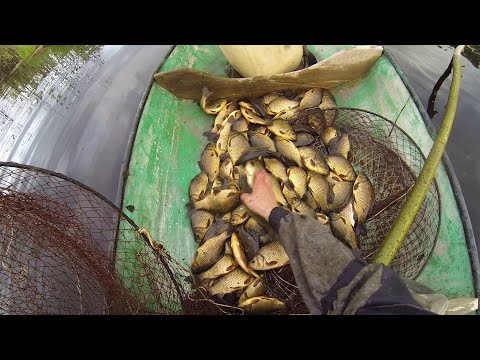 Видео: Рыбалка фитилями, ловим карася