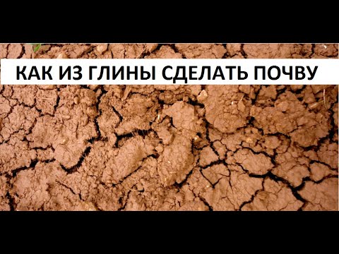 Видео: Как из глины сделать почву.