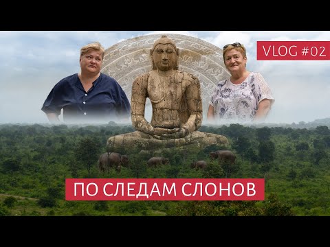 Видео: СЛОНЫ В ДИКОЙ ПРИРОДЕ,  Полоннарува и Дамбулла | Путешествие с родителями | ВЛОГ #02