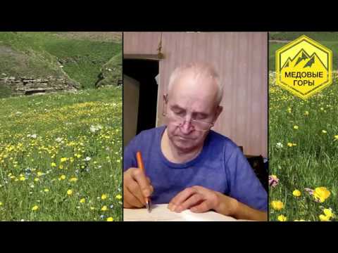 Видео: В.Г. Кашковский. "Ответы на вопросы пчеловодов" 14.03.2019 часть 1