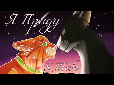 Видео: Коты Воители Звёздный Луч и Джейк: Я приду к тебе... [Канцлер Ги]