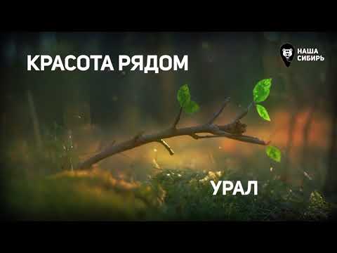 Видео: Наша Сибирь HD / test