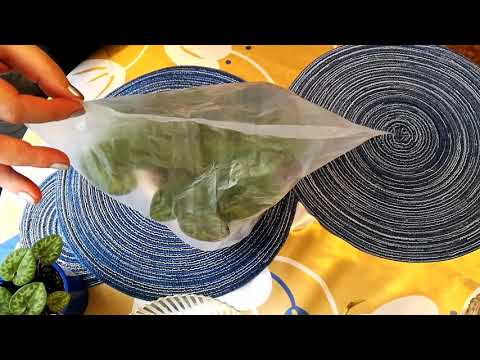 Видео: Способ 1. Как оставить растения на время отъезда. Пакет