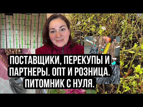 Видео: Питомник с нуля. Поставщики, партнеры и перекупы.