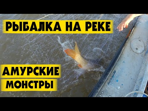 Видео: Рыбалка на Амуре Летом. Верхогляд Сазан. Рыбалка сетями