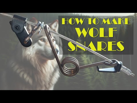 Видео: Как сделать ловушку для волка «Стингер» (4K)