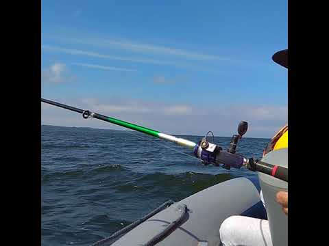 Видео: Лодка Флагман DK 350