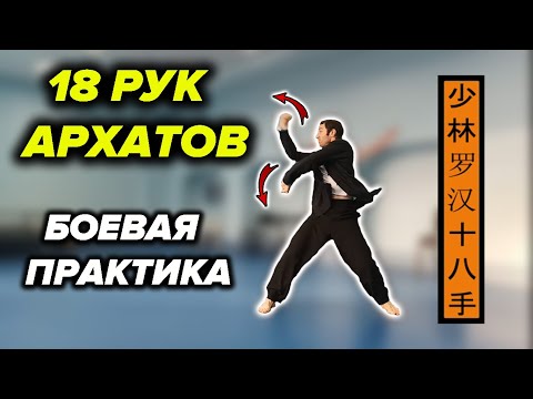 Видео: "18 рук Архатов". Шаолиньское Тао Лу и Боевая Практика