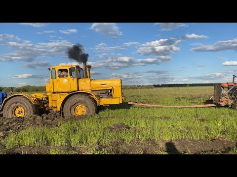 Видео: Утонул на Кировце, вытянет ли ДТ-75 желтого богатыря?